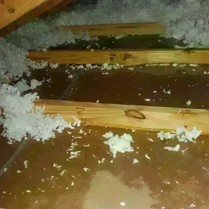 Attic Water Damage in Brooksville, FL