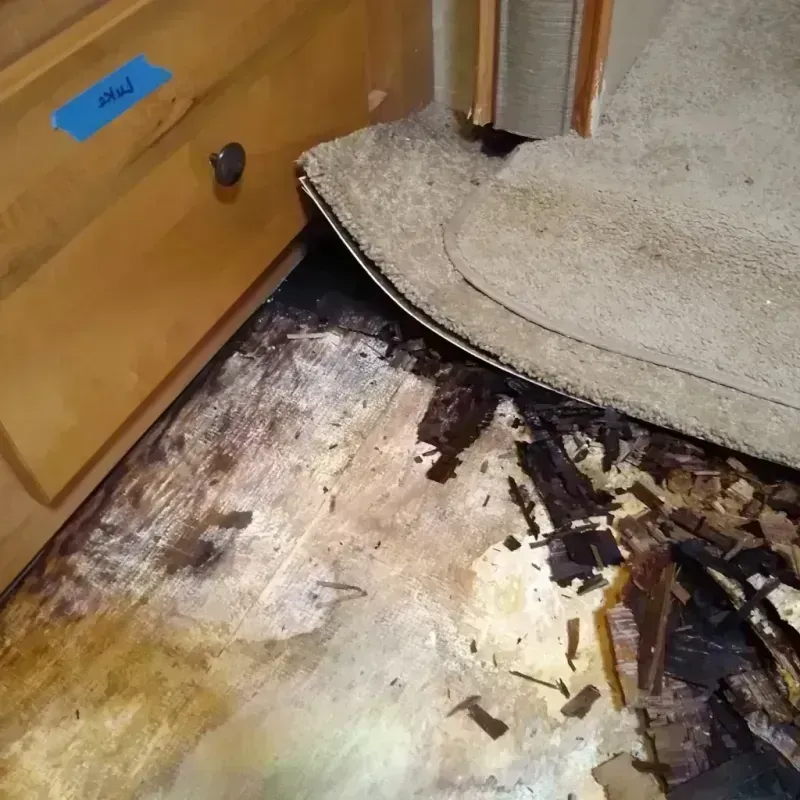 Best Wood Floor Water Damage Service in Brooksville, FL